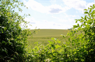 DSC_001248