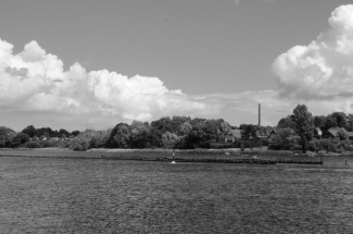 DSC_001421
