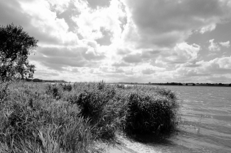DSC_001446-1