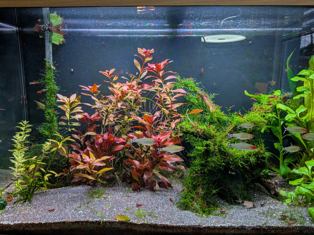 Vor dem Umbau. 3 Lichleisten sind aktiv.